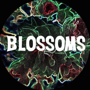 You Pulled a Gun on Me by Chase & Status & Blossoms Cover Art
