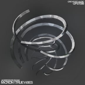 Micron / True Vibes by Agressor Bunx Cover Art