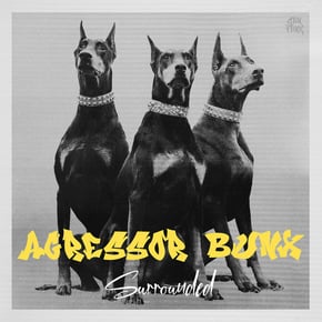 Surrounded by Agressor Bunx Cover Art