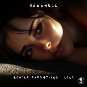You're Everything I Like by SUBBWELL Cover Art