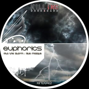 Into The Storm by Euphorics Cover Art
