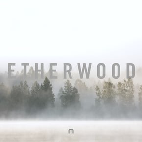 Climbing (Radio Edit) by Etherwood Cover Art