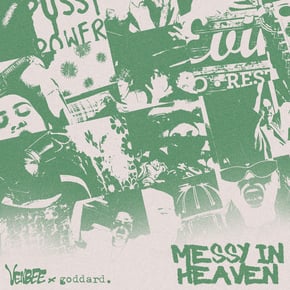 messy in heaven (Belters Only & Seamus D Remix) by goddard. Cover Art