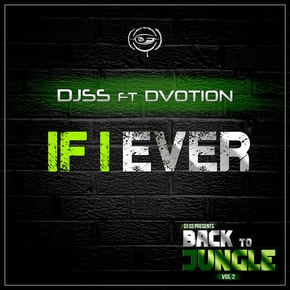 If I Ever by DJ SS & Samurai Breaks Cover Art