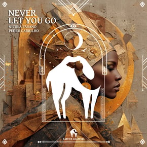 Never Let You Go by Tengu, Nicola Fasano, Pedro Carrilho & Cafe De Anatolia Cover Art
