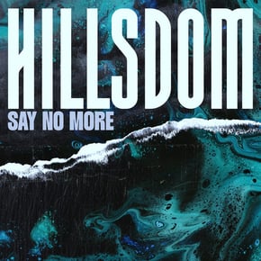 Say No More by Hillsdom Cover Art