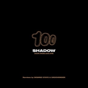 Distorted Dreams (Desired State Remix) / The Shadow (Grooverider Jeep Mix) by Goldie, Dom & Roland & Rob Playford Cover Art