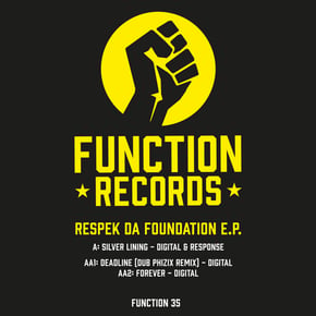 Function035 by Digital & Response Cover Art