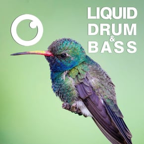 Liquid Drum & Bass Sessions 2021 Vol 45 : The Mix by Dreazz Cover Art