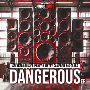 Dangerous EP by Parly B Cover Art