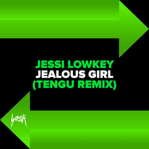 Jealous Girl (Tengu Remix) by Tengu Cover Art