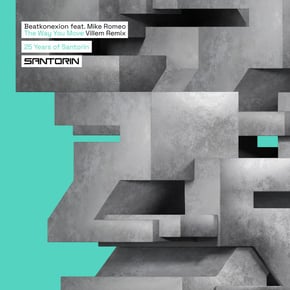 The Way You Move (Villem Remix) by Villem Cover Art