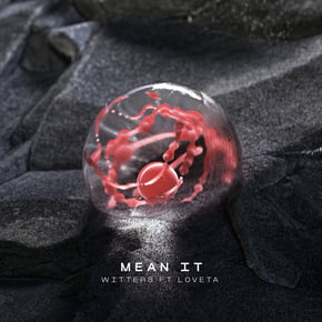 Mean It by Witters Cover Art