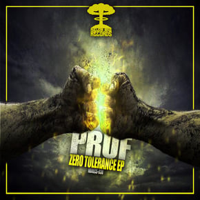 Zero Tolerance by Pruf Cover Art