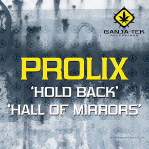 Hold Back / Hall of Mirrors by The Prototypes & Prolix Cover Art