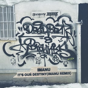 It's Our Destiny (IMANU Remix) by IMANU Cover Art
