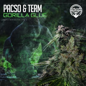 Gorilla Glue by Pacso Cover Art