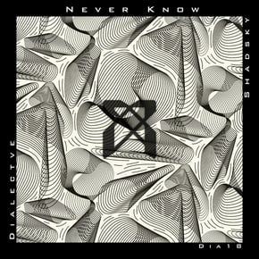 Never Know by Dialective Cover Art