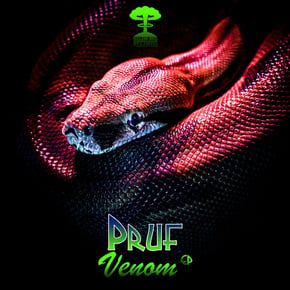 Venom by Pruf Cover Art