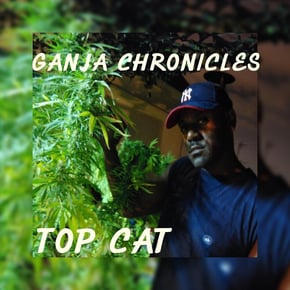 Ganja Chronicles by Top Cat & Hidden Turn Cover Art