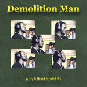 A Cry Is Heard (Extended Mix) by Demolition Man Cover Art