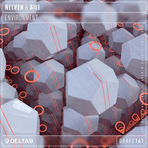 Environment by SiLi Cover Art