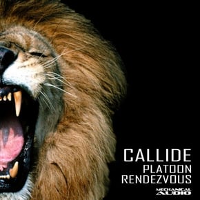 Platoon / Rendezvous by Callide Cover Art