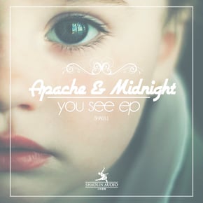 You See by Midnight Request Cover Art
