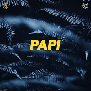 Papi by Goldie Cover Art