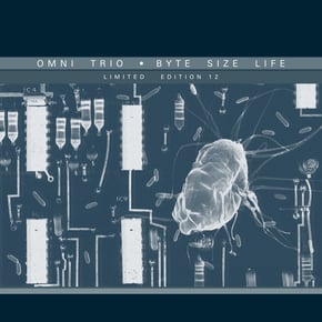 Byte Size Life / Twin Town Karaoke (Silent Storm Remix) by Omni Trio Cover Art