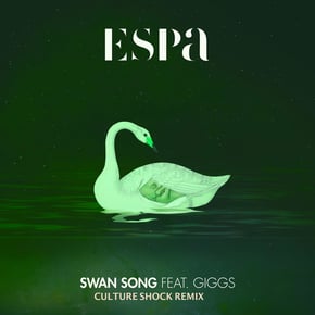 Swan Song (Culture Shock Remix) by Culture Shock Cover Art