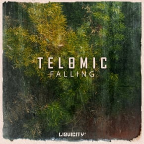 Falling by Telomic Cover Art