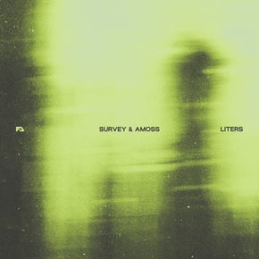 Liters by Survey & Theory Cover Art
