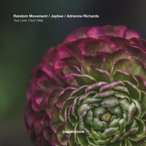 Your Lovin' / Don't Wait by Random Movement Cover Art
