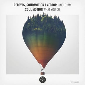 Jungle Jam / What You Do by Soulmotion Cover Art