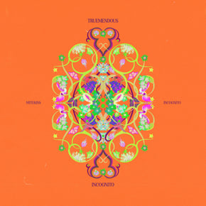 Incognito by Mitekiss Cover Art
