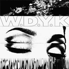 W.D.Y.K. by latesleeper Cover Art