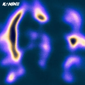 Back In Time VIP by Kanine & A Little Sound Cover Art