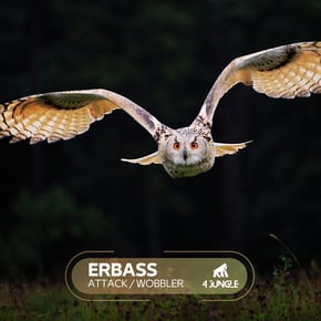Attack / Wobbler by ERBass Cover Art