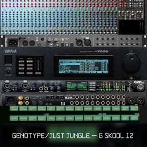 G Skool Vol 12 by Genotype Cover Art