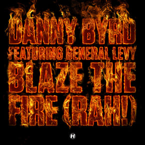 Blaze The Fire (Rah!) by Danny Byrd Cover Art