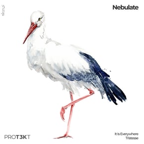 It Is Everywhere/Tristesse by Nebulate Cover Art