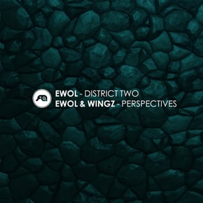District Two / Perspectives by Ewol Cover Art