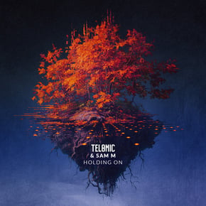 Holding On by Telomic Cover Art