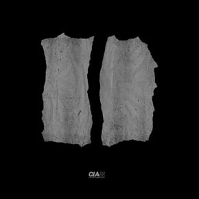 Fallen Angel (L-Side Remix) / Untouchable by Total Science & L-Side Cover Art