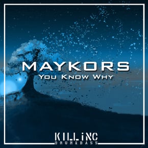 You Know Why (Original Mix) by Maykors Cover Art