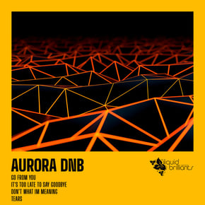 Tears by Aurora Dnb Cover Art