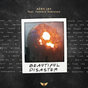 Beautiful Disaster by Andromedik, Aéro Jay & Cammie Robinson Cover Art