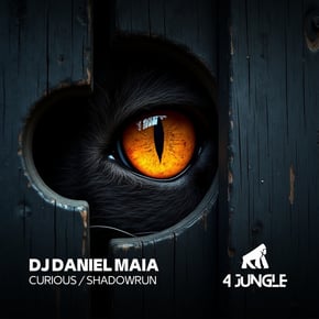 Curious / Shadowrun by DJ Daniel Maia Cover Art