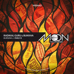 Burning by Parly B Cover Art